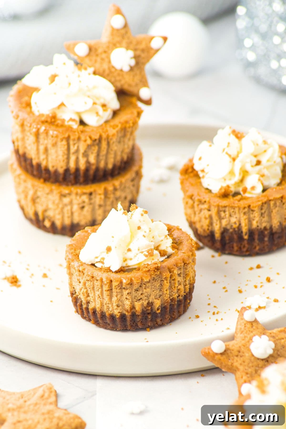 Individual Mini Gingerbread Cheesecakes Individual mini gingerbread cheesecakes
