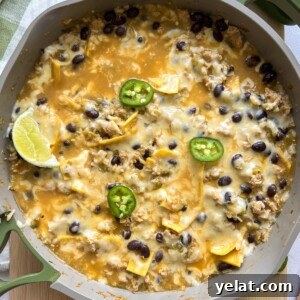 Hearty White Bean and Chicken Soup with Garlic and Herbs 14 Salsa verde chicken enchilada skillet