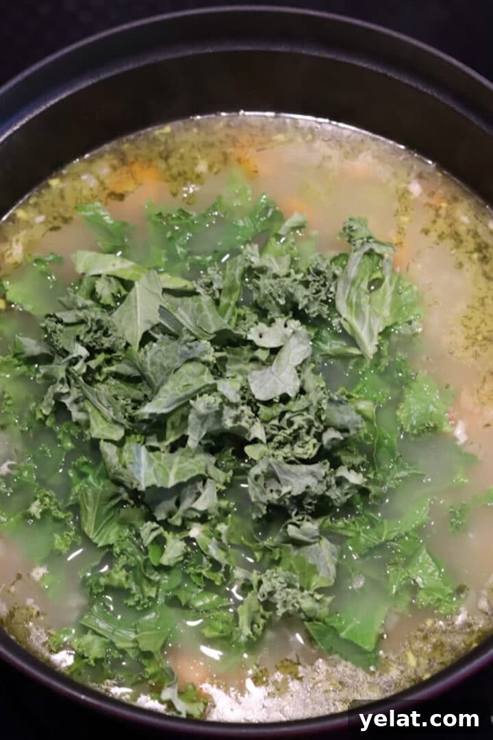 Hearty White Bean and Chicken Soup with Garlic and Herbs 8 Kale added to chicken and white bean soup in a large dutch oven