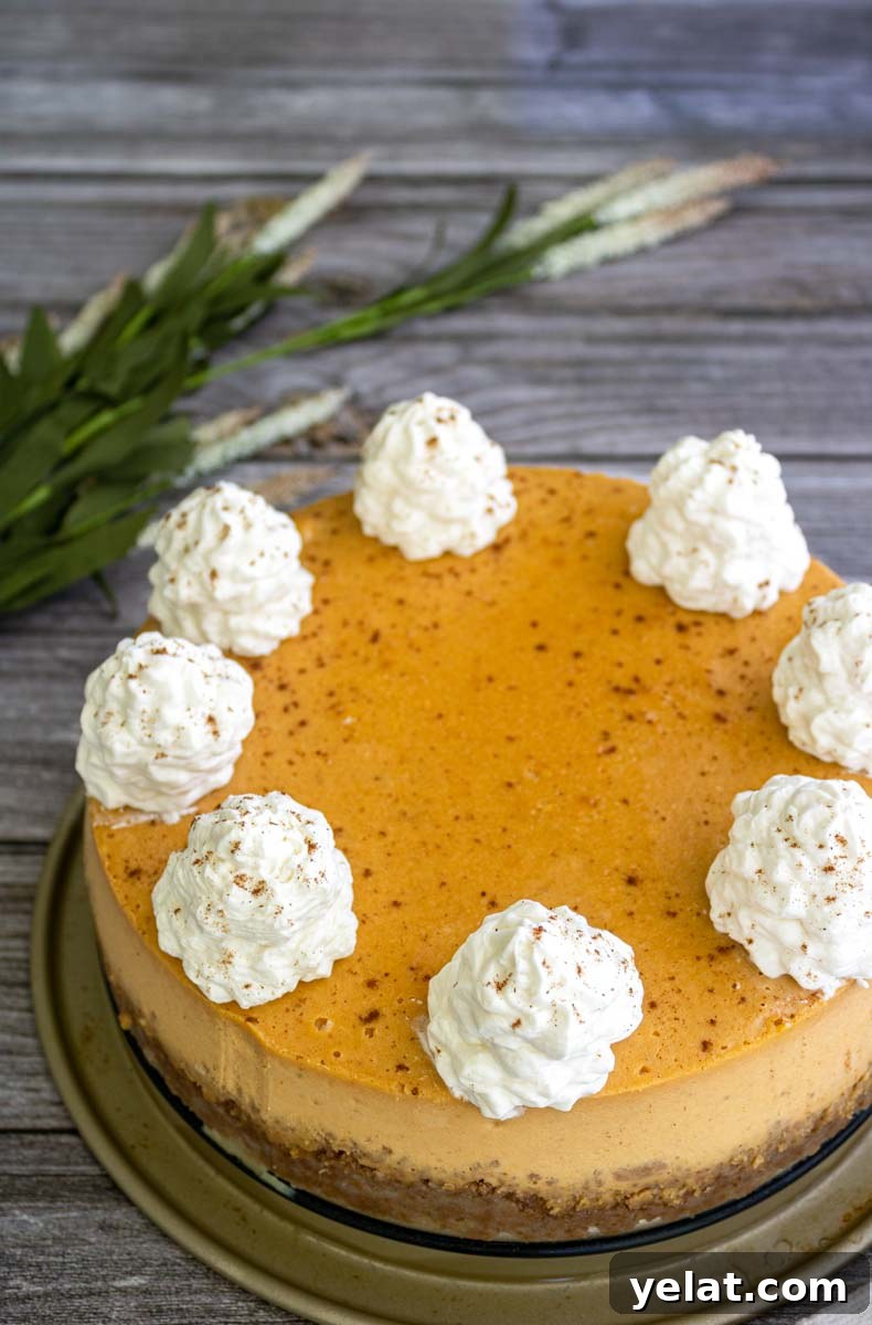 Paula Deen’s Pumpkin Cheesecake Recipe: Southern-Style Dessert Guide 10 Paula Deen pumpkin cheesecake on a table.