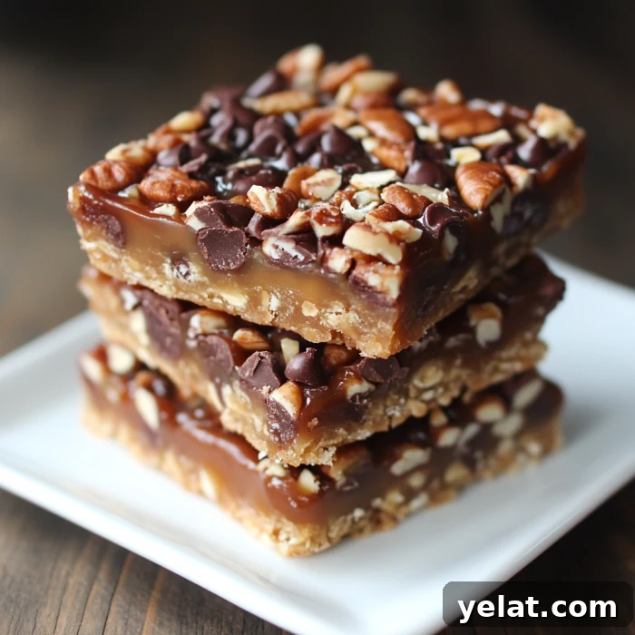 Turtle Bars