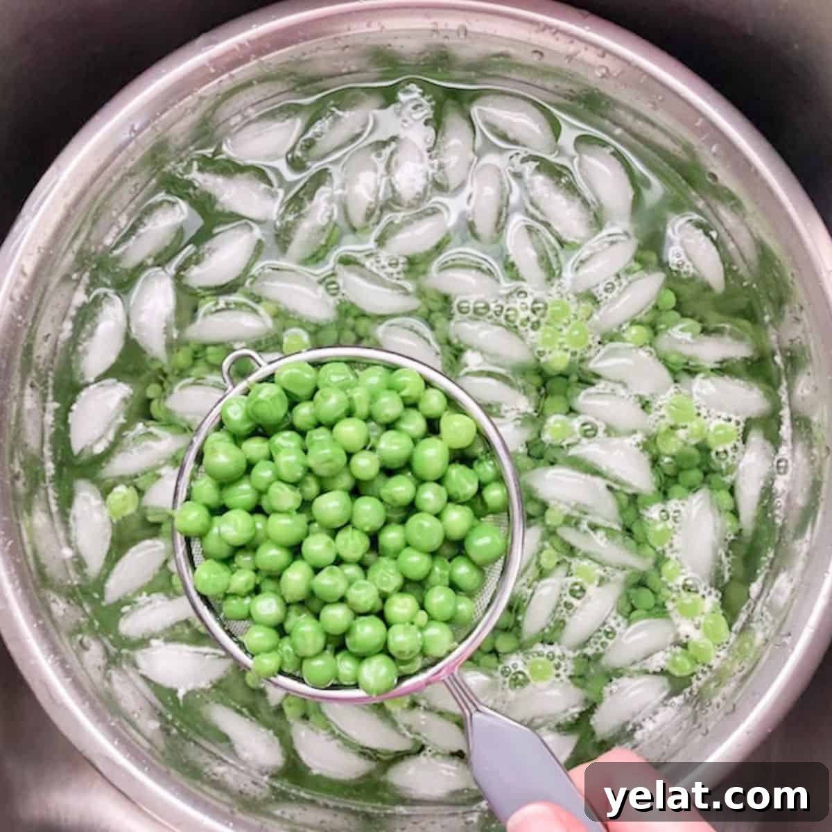 Blanched peas in ice water to cool, scooping out with a small strainer to drain.