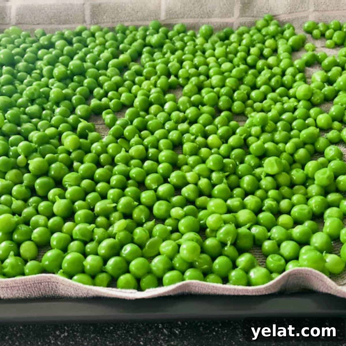 Blanched and cooled peas on a kitchen towel on a baking sheet.