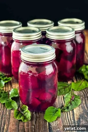 Six jars of pickled beets on a wooden counter with beet leaves.