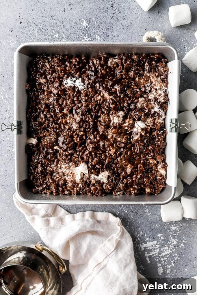chocolate rice krispie treats 