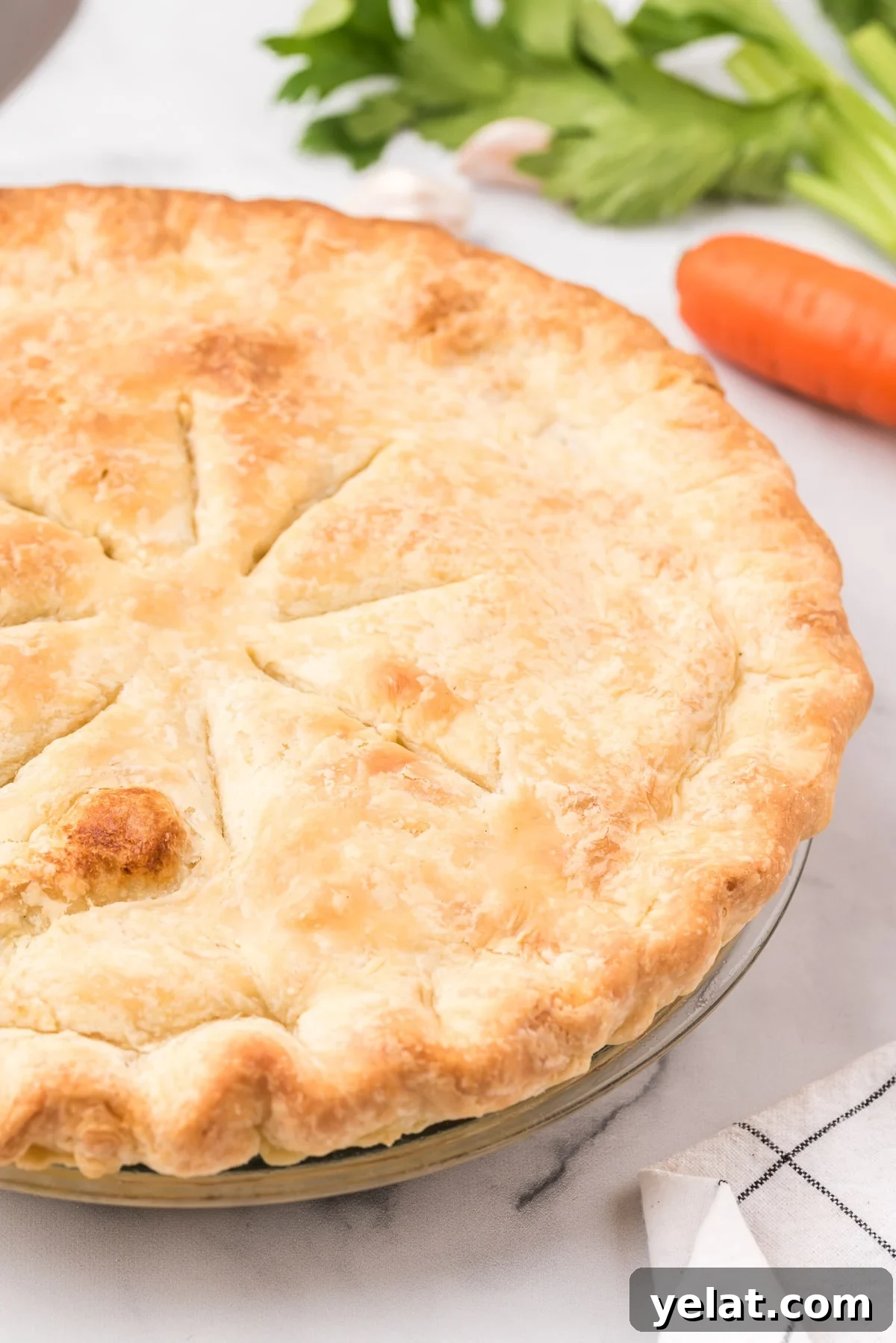 Image of a baked chicken pot pie.