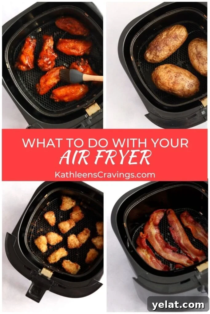 20 Delicious Things to Make in Your Air Fryer Tonight 2 What to do with your air fryer and pictures of recipes in air fryer