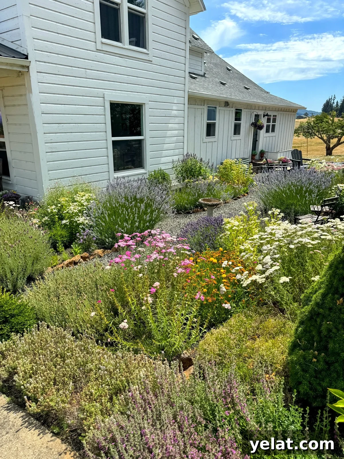 side of farmhouse with herb and flower garden in pinks, whites, and yellows.