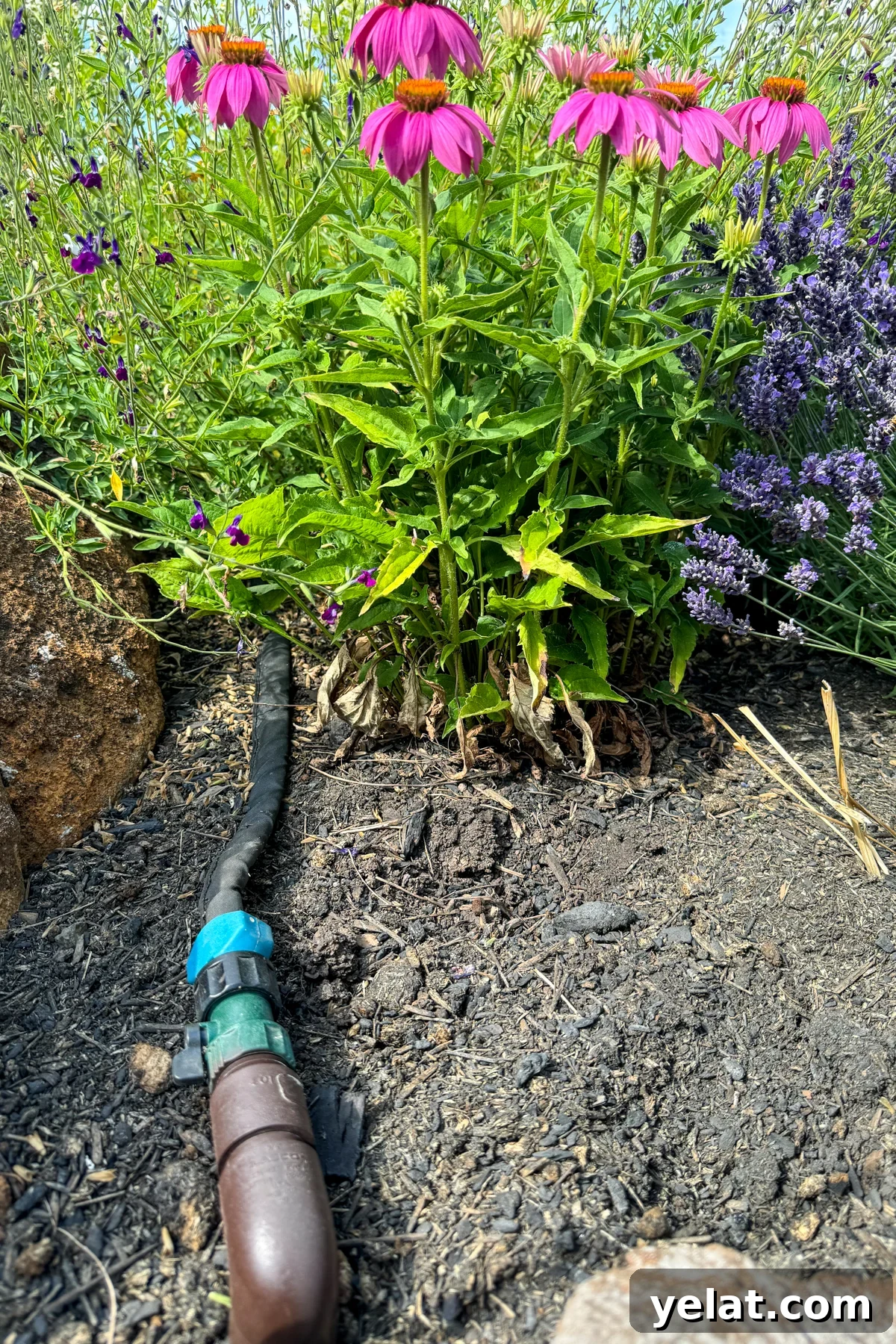 watering system pvc hook up with a cloth soaker hose
