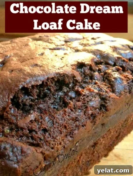 Rich, moist chocolate loaf cake with chocolate chips & cocoa for a delicious, decadent cake. Easy, simple recipe, great for breakfast, snacks, afternoon tea