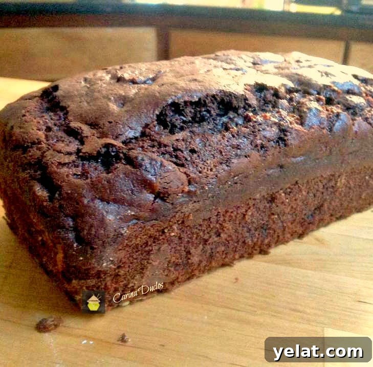 Chocolate Dream Loaf Cake. Super moist and every chocolate lover's dream!
