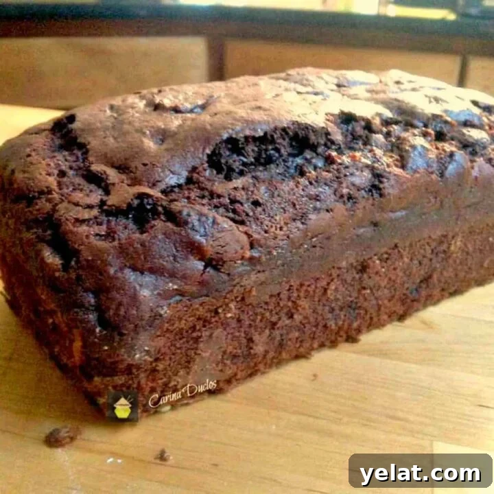 Chocolate Dream Loaf Cake. Super moist and every chocolate lover's dream!