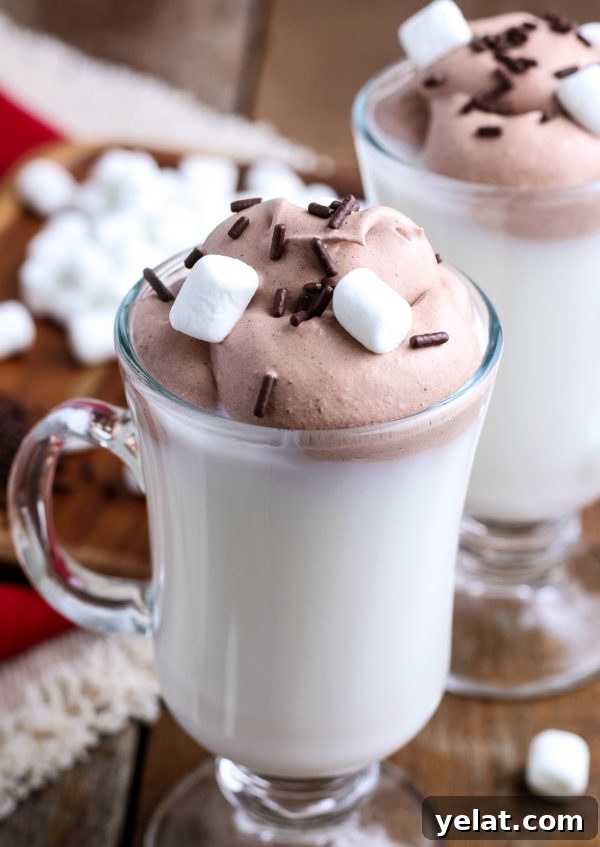 Creamy Whipped Hot Chocolate – Gluten-Free Recipe 2 Whipped Hot Chocolate (Gluten-Free)