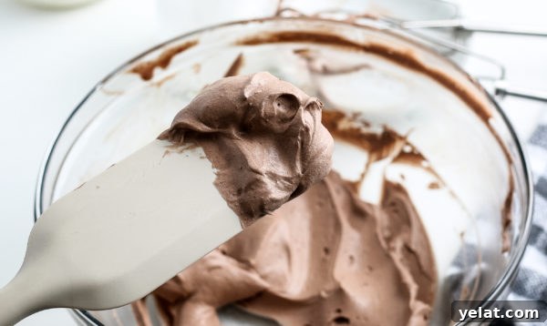 Creamy Whipped Hot Chocolate – Gluten-Free Recipe 3 Whipped Hot Chocolate (Gluten-Free)