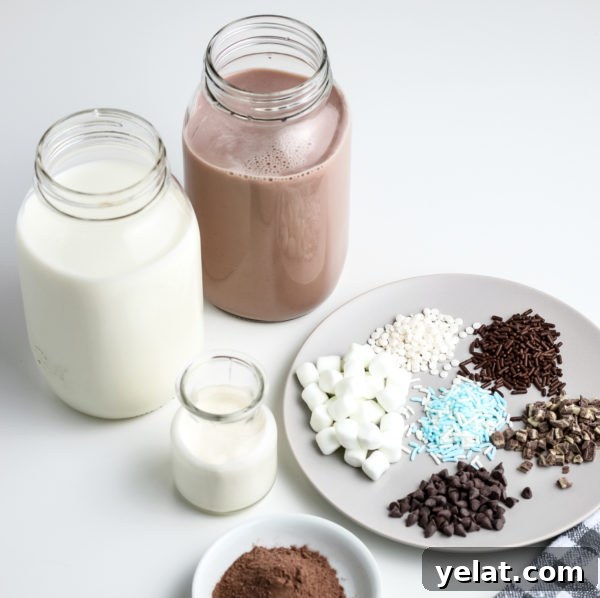 Creamy Whipped Hot Chocolate – Gluten-Free Recipe 5 Whipped Hot Chocolate (Gluten-Free)