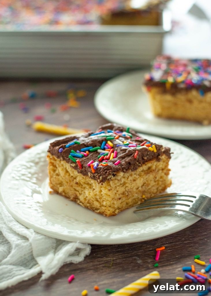 Gluten-Free Vegan Yellow Cake Recipe with Step-by-Step Video 2 gluten-free-vegan-cake-on-a-white-place-single-slice