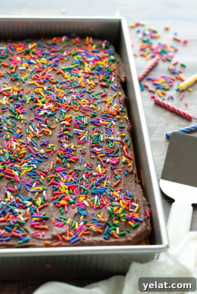 Gluten-Free Vegan Yellow Cake Recipe with Step-by-Step Video 3 allergy-friendly-yellow-cake-recipe-close-shot-of-cake-in-pan-with-sprinkles