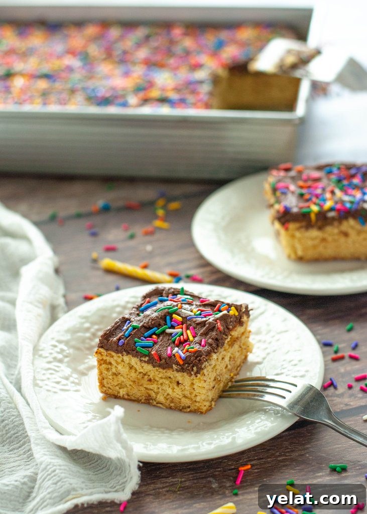 Gluten-Free Vegan Yellow Cake Recipe with Step-by-Step Video 5 vegan-gluten-free-yellow-cake-two-slices-next-to-pan