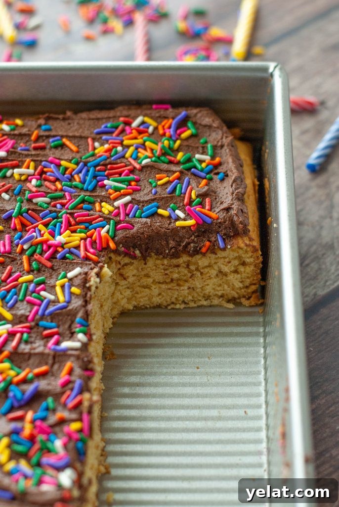 Gluten-Free Vegan Yellow Cake Recipe with Step-by-Step Video 6 vegan-gluten-free-yellow-cake-recipe-in-cake-pan-slices-missing