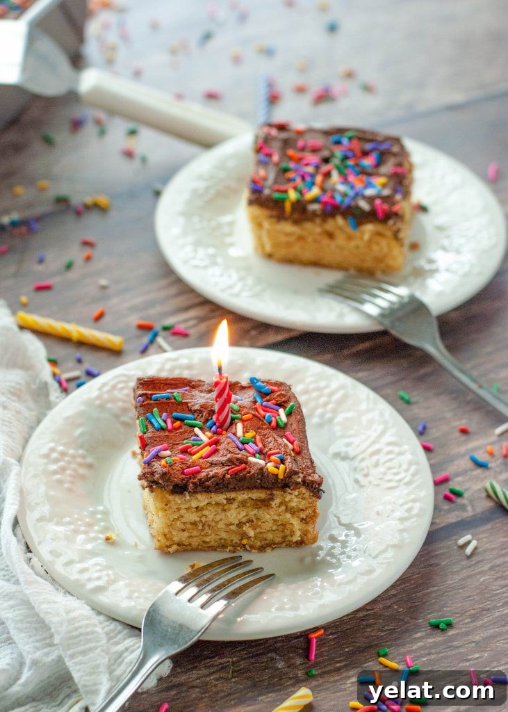 Gluten-Free Vegan Yellow Cake Recipe with Step-by-Step Video 7 gluten-free-vegan-birthay-cake-two-slices-with-candle