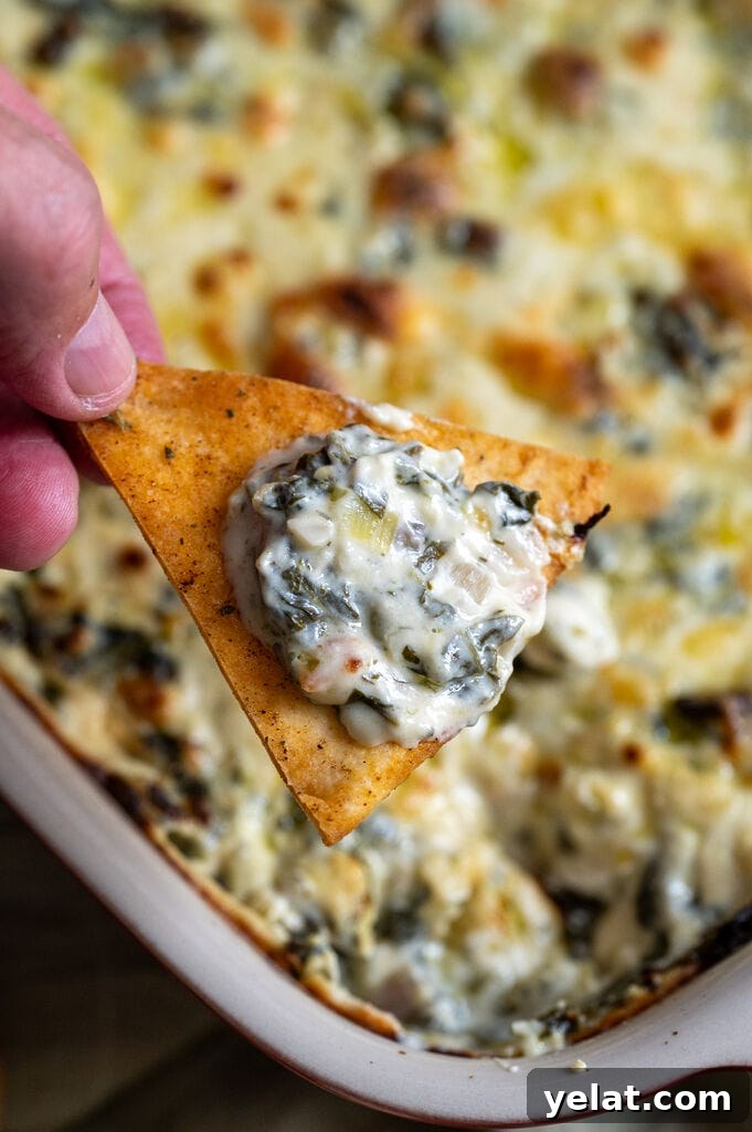 Dipping a pita chip into the baked spanakopita dip.