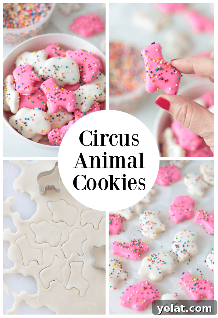 Homemade Circus Animal Cookies Recipe for Crunchy Iced Treats 2 homemade circus animal cookies