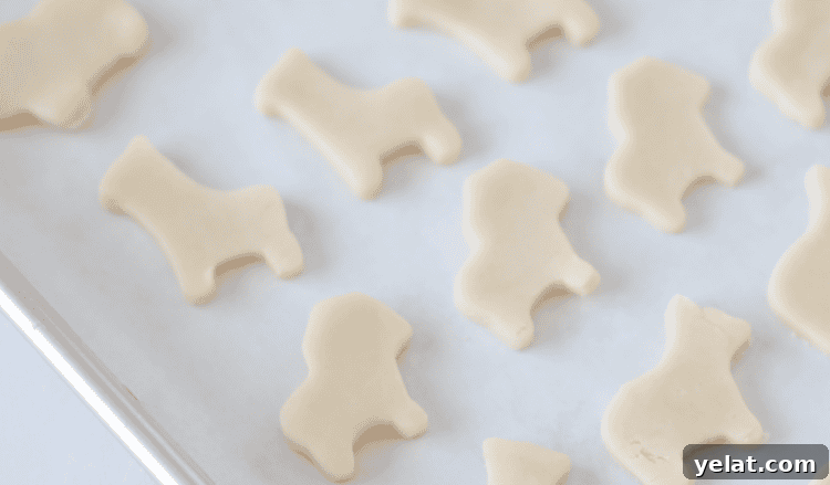 Homemade Circus Animal Cookies Recipe for Crunchy Iced Treats 12 baking sheet of circus animal cookie cutters