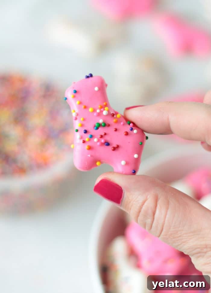Homemade Circus Animal Cookies Recipe for Crunchy Iced Treats 4 hand holding circus animal cookie
