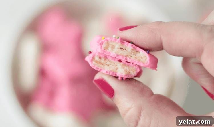 Homemade Circus Animal Cookies Recipe for Crunchy Iced Treats 5 hand holding circus animal cookie broken in half