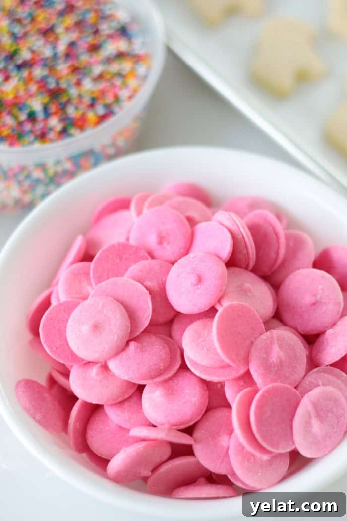 Homemade Circus Animal Cookies Recipe for Crunchy Iced Treats 8 bowl of pink candy melts and sprinkles