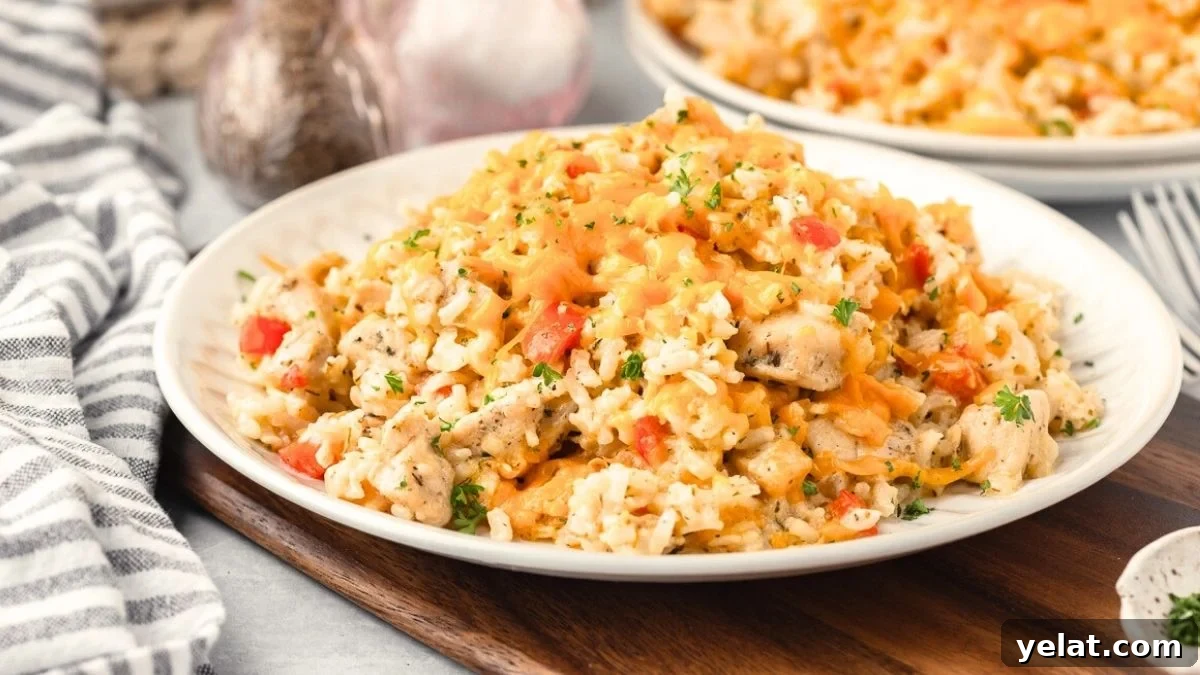 Cheesy chicken and rice casserole served on a plate.