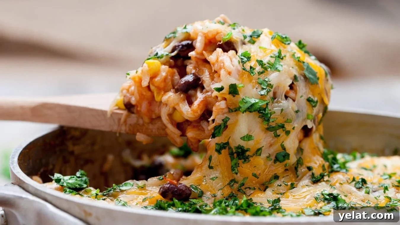 Chicken Enchilada Casserole scooped up on a spoon.