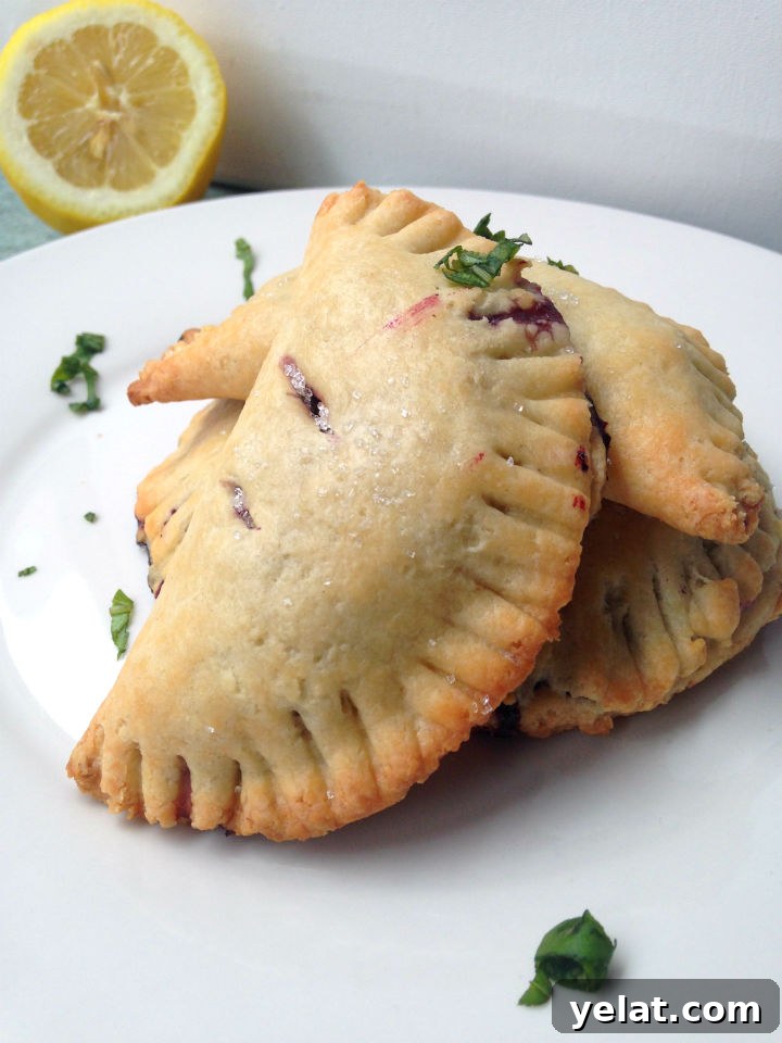 Blueberry Lemon Basil Hand Pies -- An easy recipe for a unique and totally portable dessert. Perfect for summer picnics!