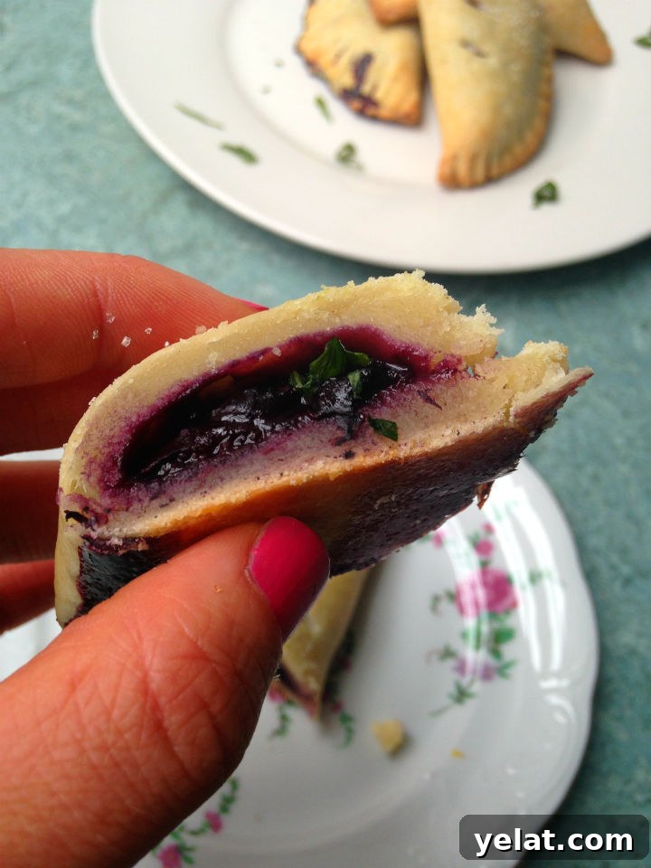 Blueberry Lemon Basil Hand Pies -- An easy recipe for a unique and totally portable dessert. Perfect for summer picnics!