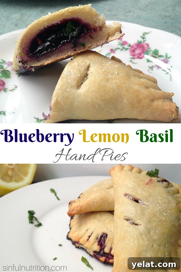 Blueberry Lemon Basil Hand Pies -- An easy recipe for a unique and totally portable dessert. Perfect for summer picnics!