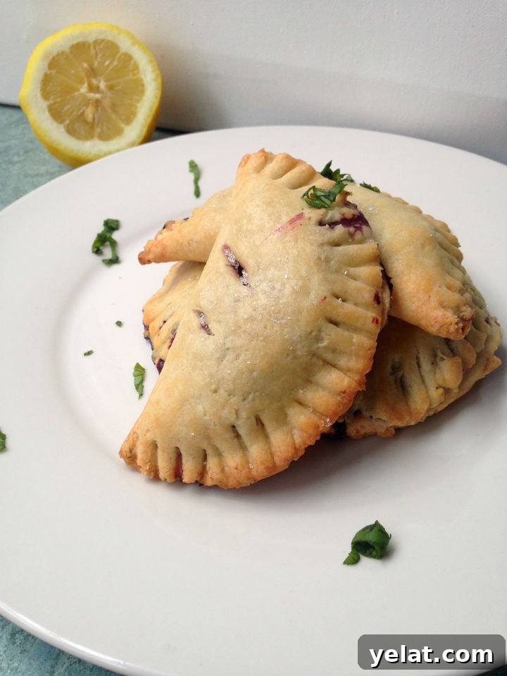 Blueberry Lemon Basil Hand Pies -- An easy recipe for a unique and totally portable dessert. Perfect for summer picnics!