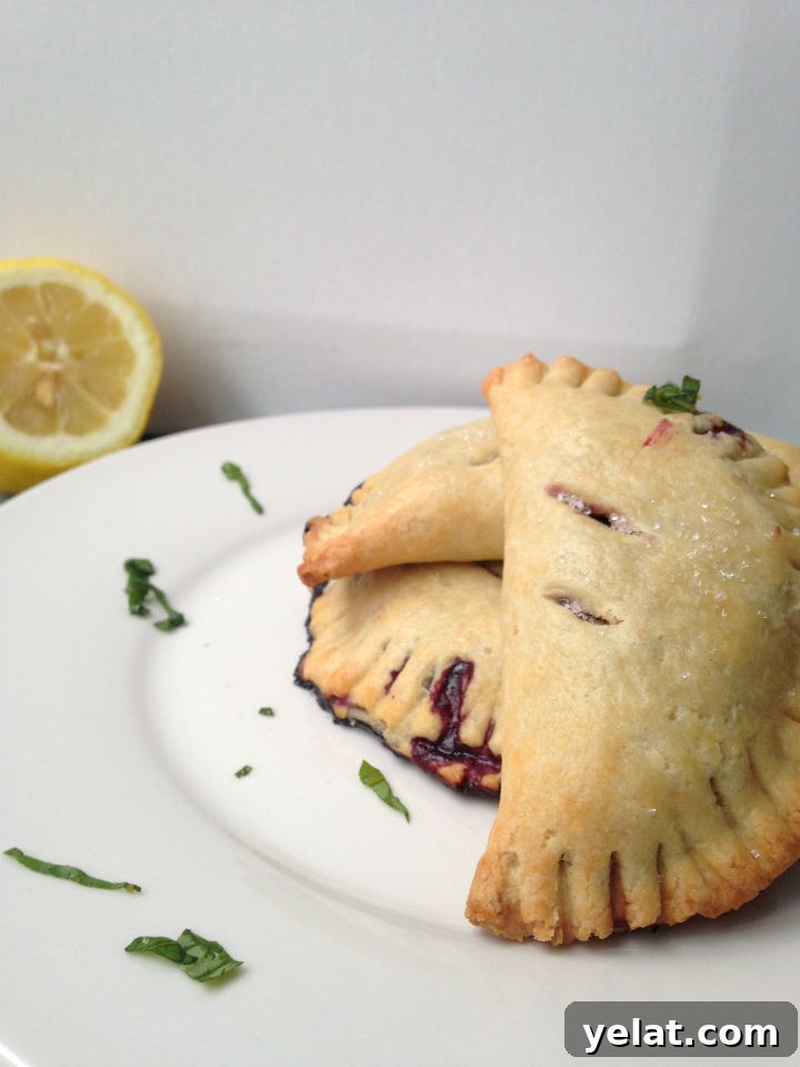 Blueberry Lemon Basil Hand Pies -- An easy recipe for a unique and totally portable dessert. Perfect for summer picnics!
