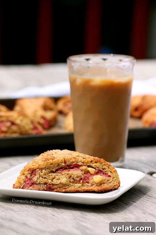 Roasted Rhubarb Scones with White Chocolate