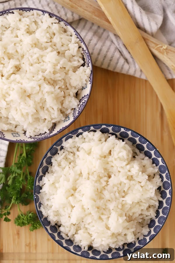 Creamy Coconut Rice with Toasted Coconut Garnish 3 Two bowls of coconut jasmine rice on a counter top.