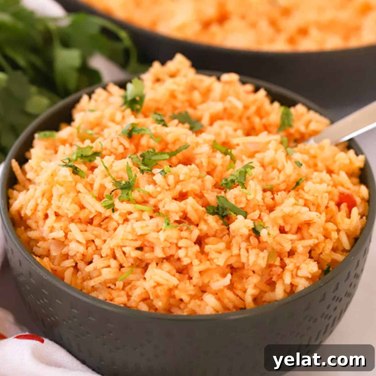 Creamy Coconut Rice with Toasted Coconut Garnish 4 Spanish rice
