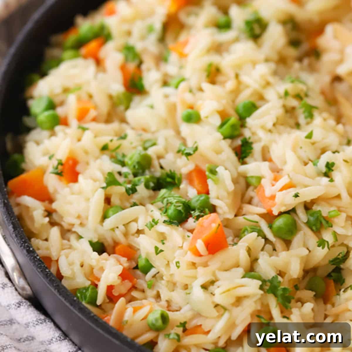 Creamy Coconut Rice with Toasted Coconut Garnish 5 rice pilaf