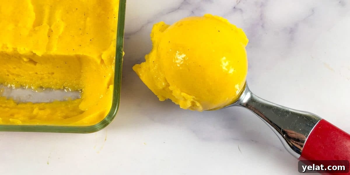 Sugar-Free Mango Frozen Treat: Creamy Dairy-Free Ice Cream Alternative 3 Mango nice cream in an ice cream scoop