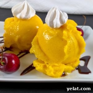 Sugar-Free Mango Frozen Treat: Creamy Dairy-Free Ice Cream Alternative 5 Vegan mango nice cream