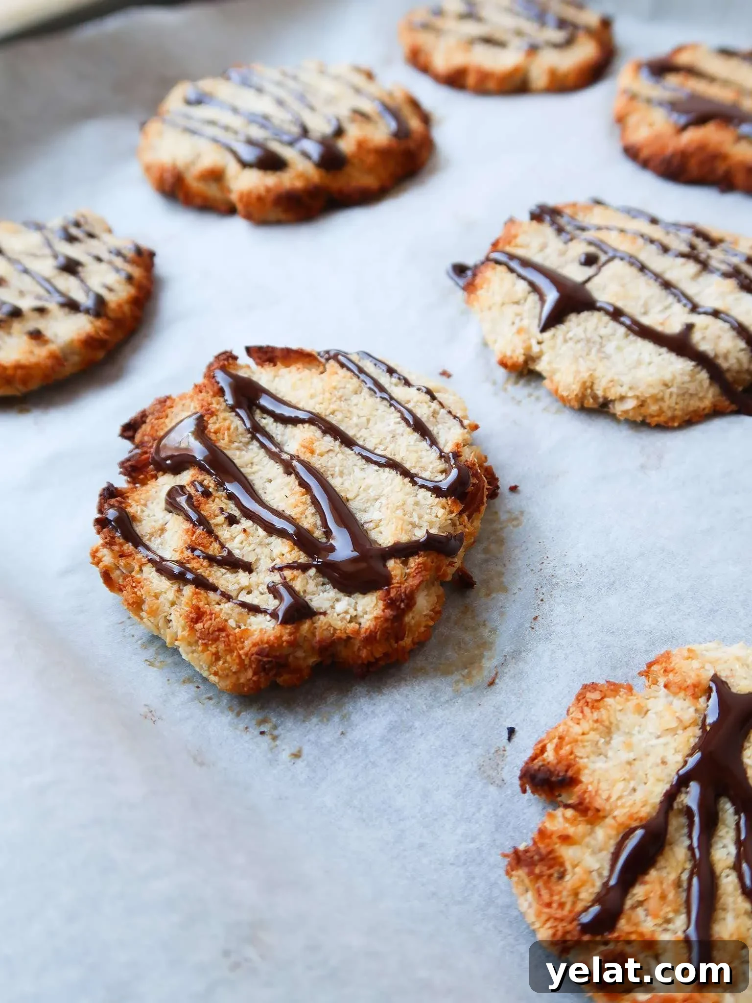15 Delicious Vegan Baking Recipes for Every Occasion 11 coconut banana cookies healthy