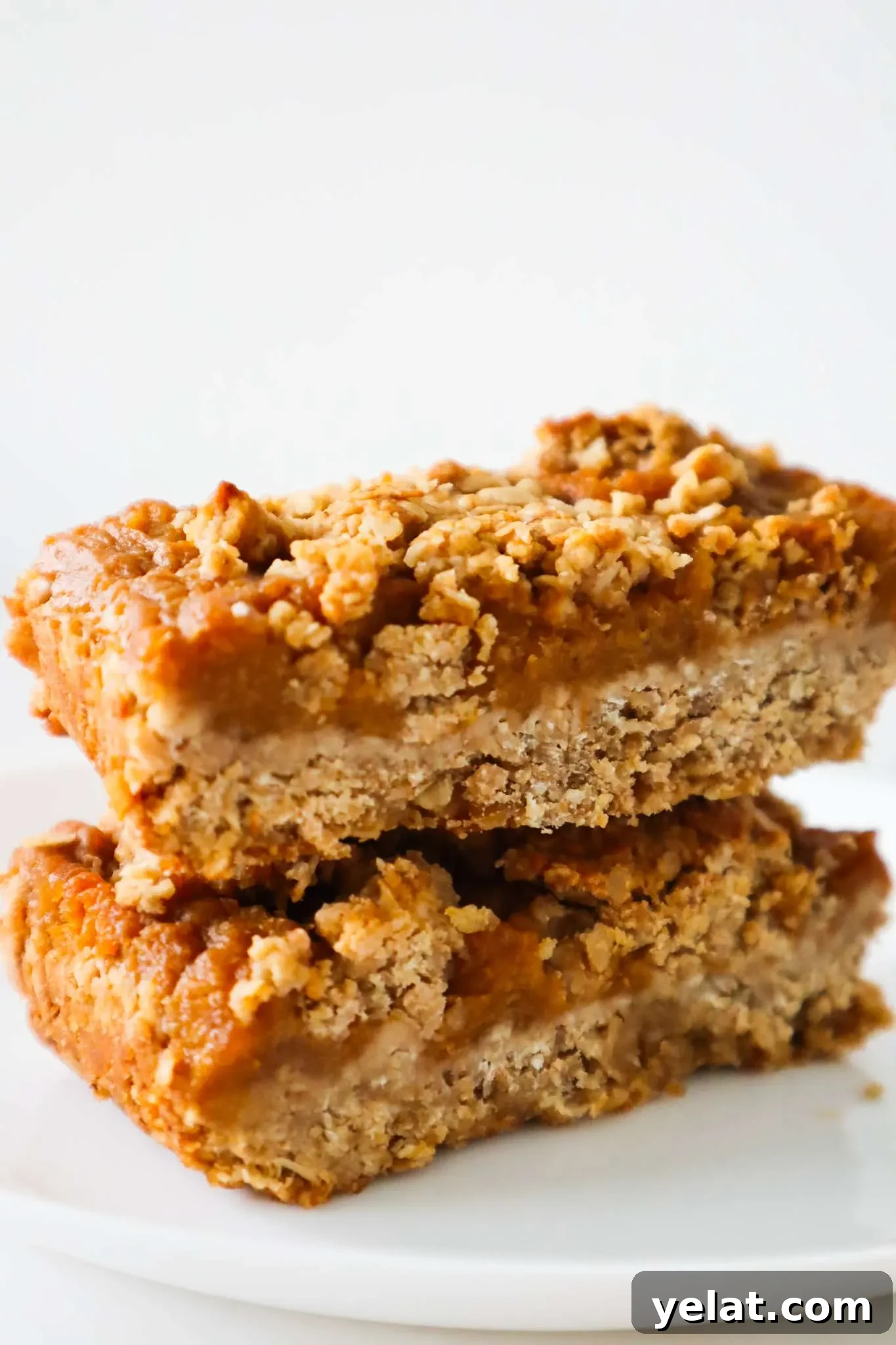 15 Delicious Vegan Baking Recipes for Every Occasion 15 make ahead pumpkin pie bars