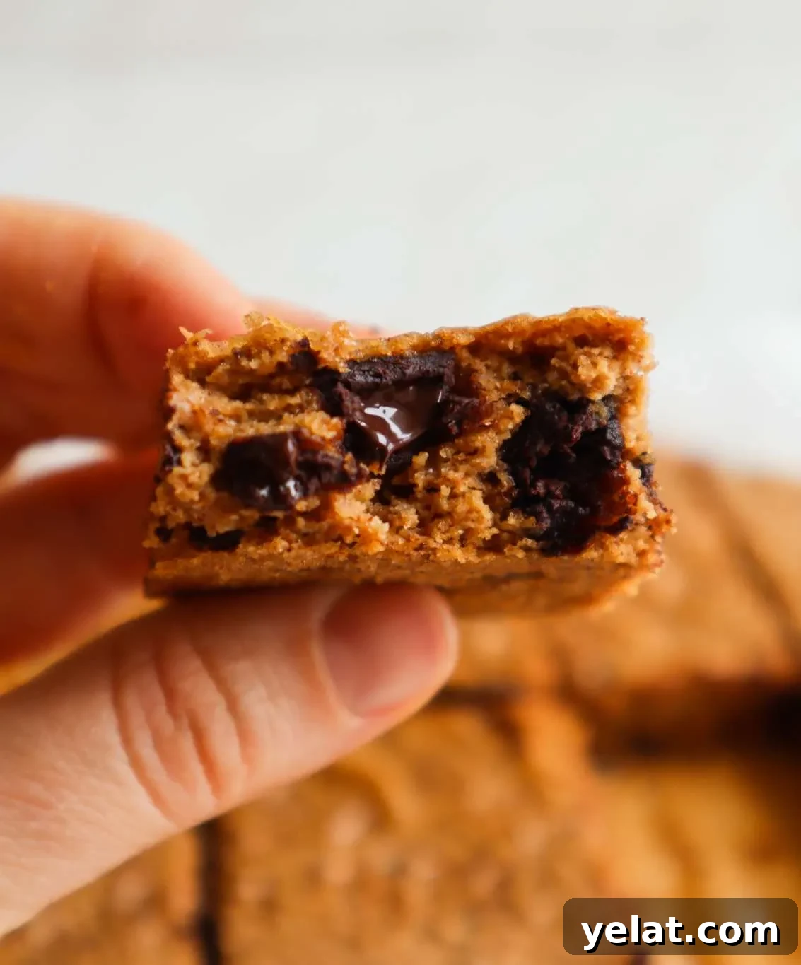 15 Delicious Vegan Baking Recipes for Every Occasion 17 almond butter oat blondies