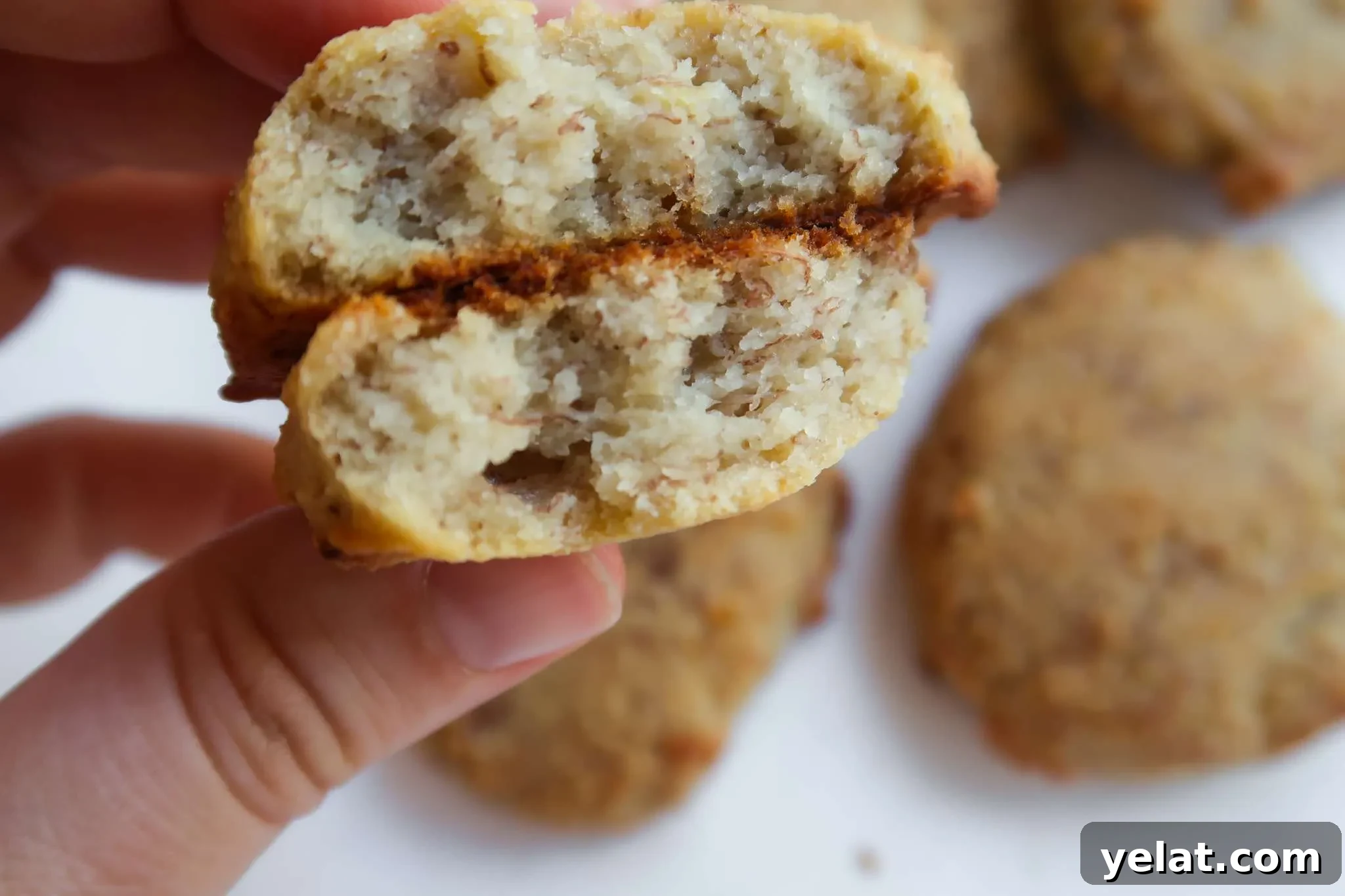 15 Delicious Vegan Baking Recipes for Every Occasion 8 healthy banana cookies