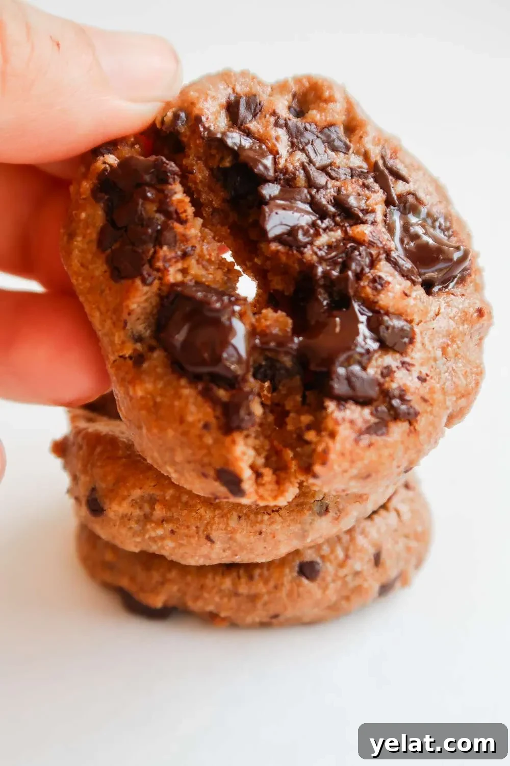 15 Delicious Vegan Baking Recipes for Every Occasion 9 vegan gluten free oatmeal almond butter cookies