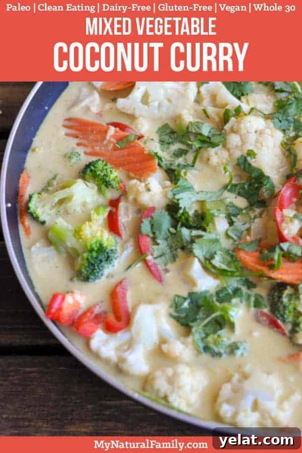 Creamy Coconut Vegetable Curry Recipe with Fresh Veggies 2 Mixed Vegetable Curry with Coconut Milk Recipe {Paleo, Vegan, Clean Eating, Gluten-Free, Dairy-Free, Whole 30}