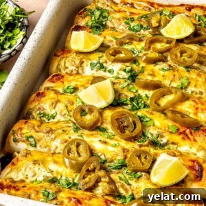 Weeknight Sour Cream Chicken Enchiladas - Olivia Adriance